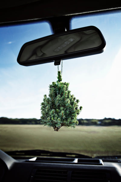 Customized Air Fresheners: A Perfect Gift for Freshening Up Any Space