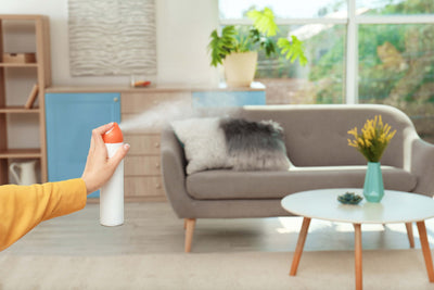 Keep Your Space Fresh, Inviting, and Odor-Free with Air Fresheners That Actually Work